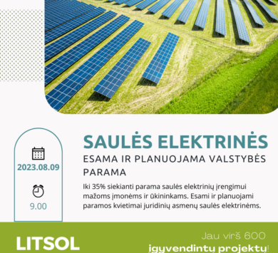 SAULĖS ELEKTRINĖS. ESAMA IR PLANUOJAMA VALSTYBĖS PARAMA.