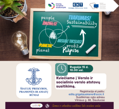 VERSLO IR SOCIALINIO VERSLO BENDRADARBIAVIMO GALIMYBĖS